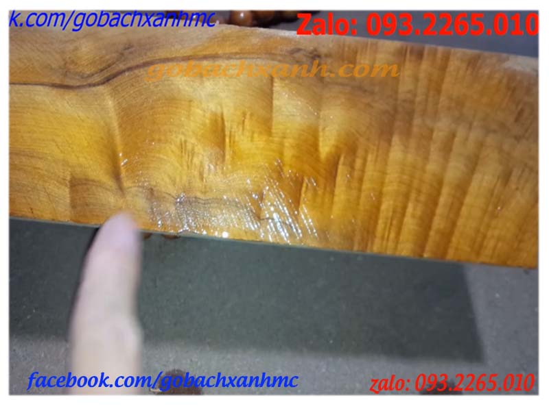  Phân loại gỗ bách xanh