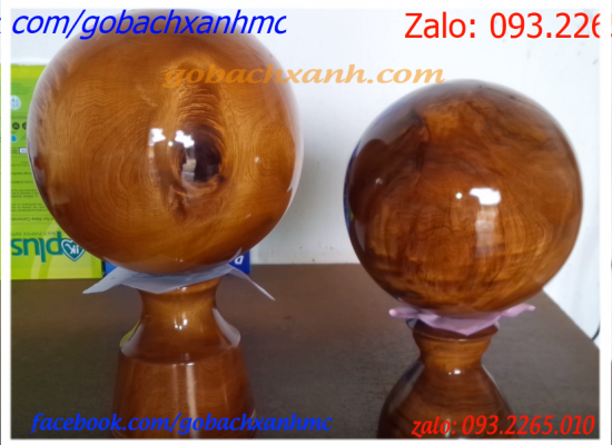 gỗ bách xanh Mộc Châu Sơn La